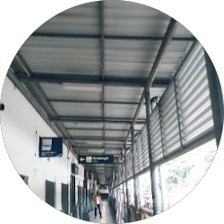 Sari oo